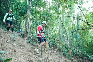 BIB: 
                            <button type="button" onclick="openModal(28160645)" class="btn btn-primary btn-sm float-right btn-popup" data-toggle="modal" data-target=".modal-high-quality">
                        <i class="fas fa-shopping-cart"></i> Add to Cart
                    </button>
                                            <button type="button" onclick="isThisMe(28160645, true)" class="btn btn-success btn-sm float-right btn-popup btn-isme hidden" data-toggle="tooltip" data-placement="bottom" title="นี่คือรูปของคุณใช่ไหม คลิกที่นี่เพื่อเอาเข้าอัลบั้ม">
                        <i class="fas fa-plus"></i> Add to album
                    </button>
                    <button type="button" onclick="isThisMe(28160645, false)" class="btn btn-warning btn-sm float-right btn-popup btn-isnotme hidden">
                        <i class="fas fa-ban"></i> Remove from album
                    </button>